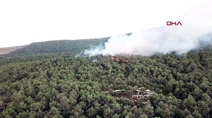 İstanbul Kayışdağı'nda ormanlık alanda yangın