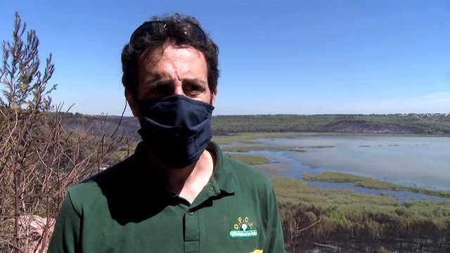 Forêt de Castillon: le crève cœur des agents forestiers de l'ONF