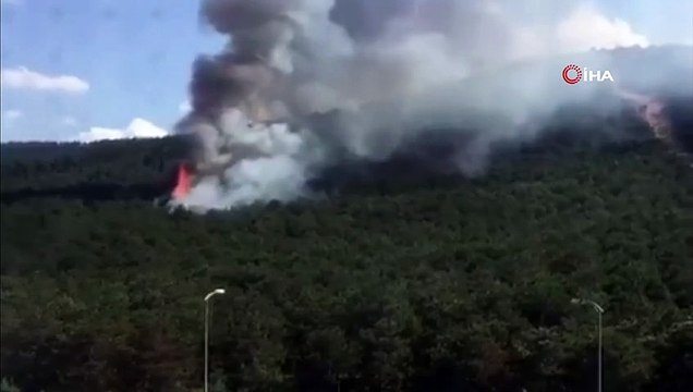 Kayışdağı'nda ormanlık alanda yangın çıktı