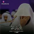 Al Quran Status AYAH at-Taghabun 64:11 | Al Sheikh Raad Al Kurdi