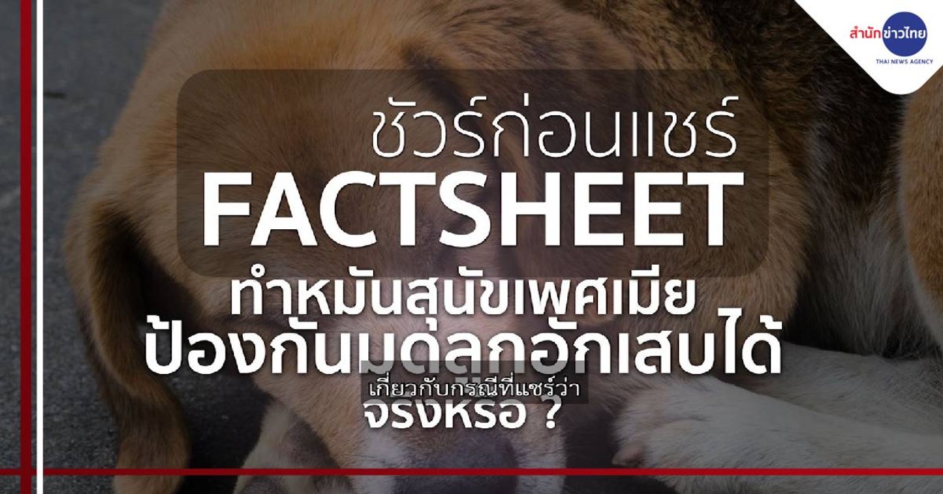 ชัวร์ก่อนแชร์ FACTSHEET : สุนัขเพศเมียเสี่ยงมดลูกอักเสบ ทำหมันป้องกันได้ จริงหรือ ?