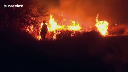 Argentina on fire: more than 120,000 hectares were destroyed
