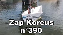 Zap Koreus n°390