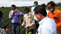 शाजापुर: खेतों में सोयाबीन हो रही है खराब, कलेक्टर कृषकों से की चर्चा 
