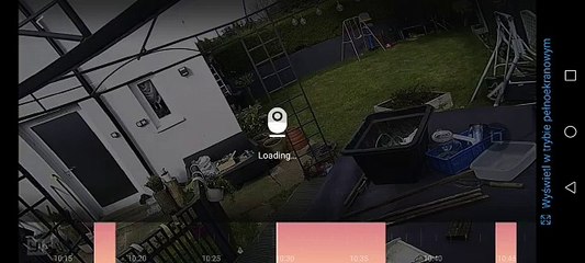 Large branch falls into Northampton garden in March