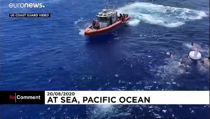 Un requin vient interrompre leur baignade en plein océan Pacifique