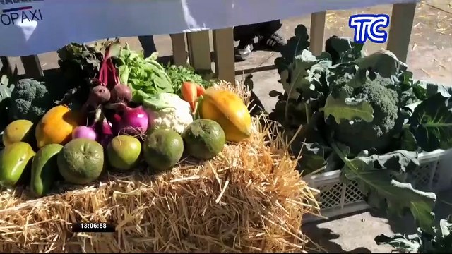 Vicepresidenta de la República, María Alejandra Muñoz, expresó su compromiso de luchar contra el hambre y atender las necesidades agrarias