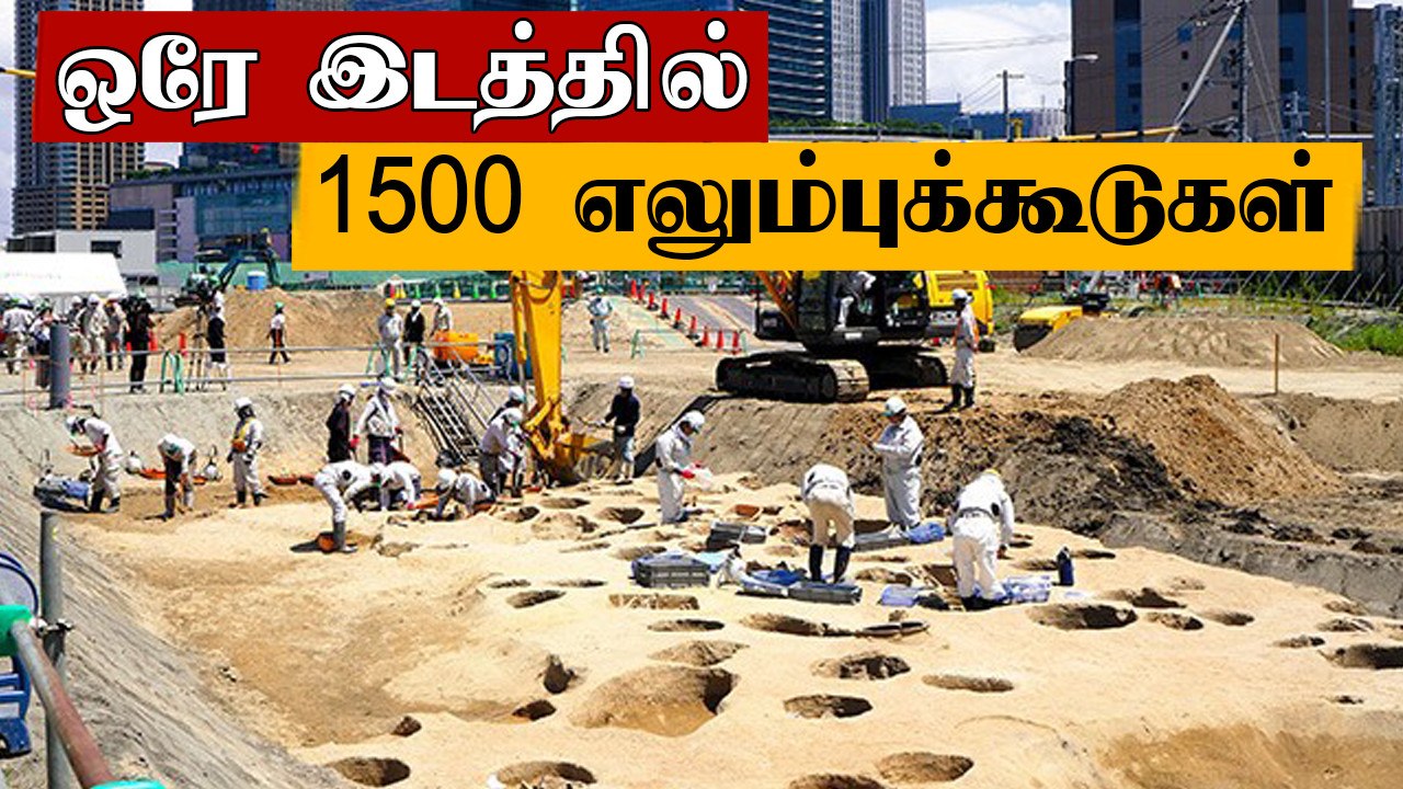 Japan- ல் ஒரே இடத்தில் கண்டெடுக்கப்பட்ட 1500 எலும்புக்கூடுகள்