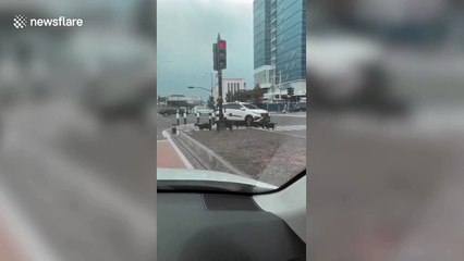 Family of five goats spotted crossing road in Indonesia