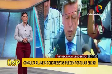 APP consulta al JNE si parlamentarios pueden postular a reelección en 2021