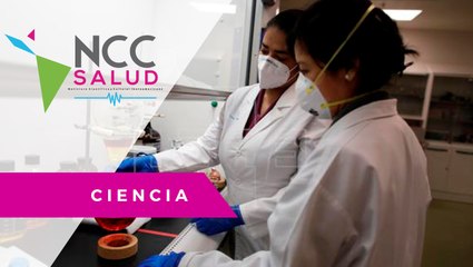 Un hon­go, en­dé­mi­co de Ja­pón, po­dría ser un alia­do en la lu­cha con­tra el co­ro­na­vi­rus