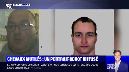 'Il était déterminé à me tuer': Le témoignage de Nicolas Demajean a permis aux enquêteurs d'établir le portrait-robot d'un homme soupçonné de mutiler des chevaux