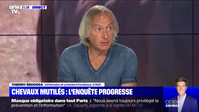 Chevaux mutilés: d'après ce vétérinaire, on ignore encore si les équidés ont été mutilés avant d'être tués ou après