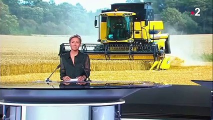 Agriculture : les céréaliers victimes de la météo