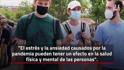 Estos alimentos pueden reducir tu ansiedad