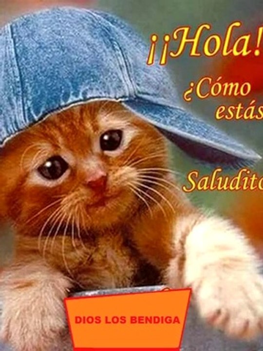 NUESTRAS MASCOTAS