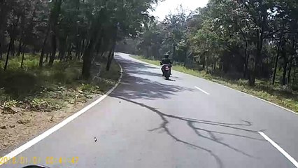 Riders Pass Leopard on the Road