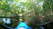 Kayaker Has a Very Close Encounter with Alligator in North Carolina