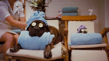 7est-disfrute-de-la-programación-películas-d-este-fin-de-semana-260820