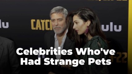 The Odd Celebrity Pets
