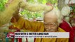 Vietnamese man hasn't cut his hair in almost 80 years