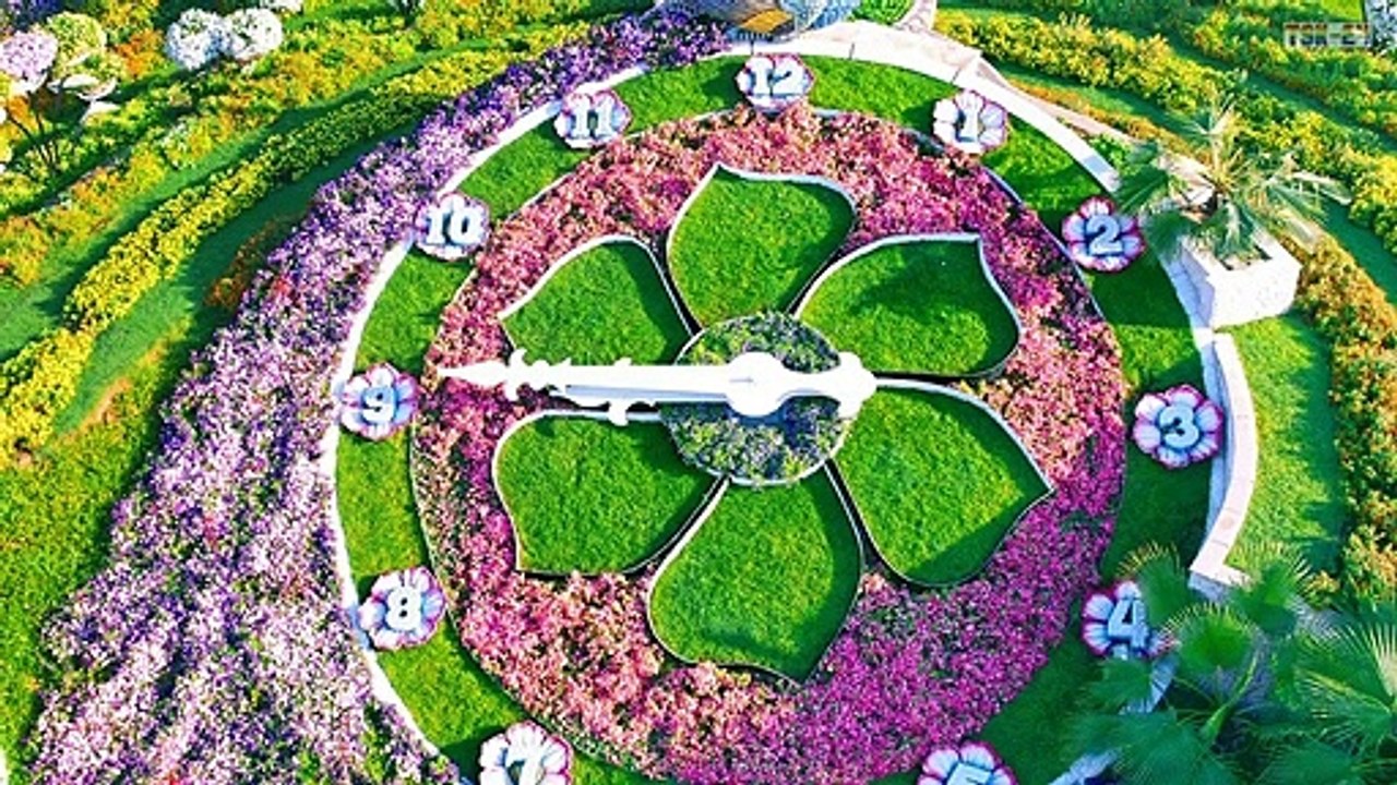 Dubai Miracle Garden 2019