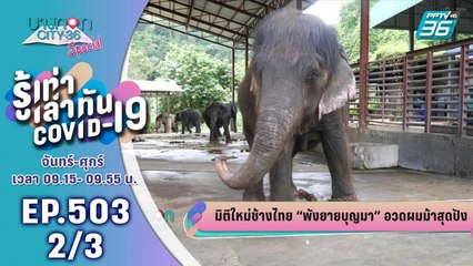 บางกอก City เลขที่ 36 | "พังยายบุญมา" อวดผมม้าสุดปัง | 28 ส.ค. 63 (2/3)