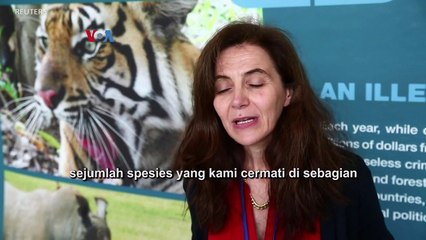 Perdagangan Trenggiling dan Satwa Liar Lain di Medsos