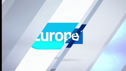 Theia : le chien d'aveugle électronique