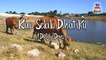 Deddy Dores - Kau Selalu Dihatiku (Official Lyric Video)