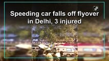 Speeding car falls off flyover in Delhi, 3 injured