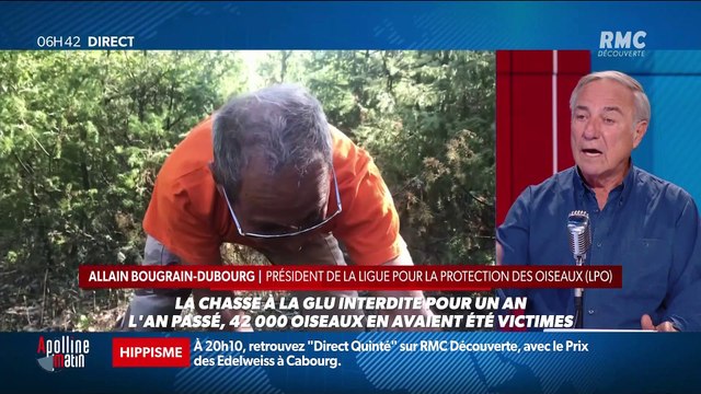 L'invité de l'actu : Allain Bougrain-Dubourg - 28/08