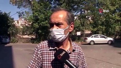 Emekli polis memuru beslediği kedilerin zehirlenmesine isyan etti