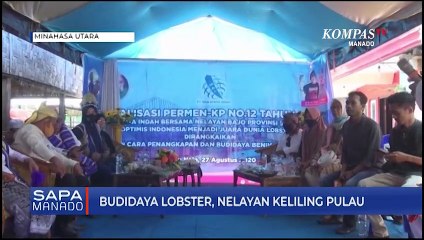 Budidaya Lobster, Nelayan Desa Nain Keliling Pulau