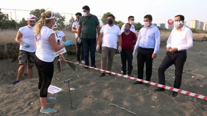 Kumsal temizliği yapanlara deniz kaplumbağası sürprizi