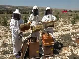 Uzmanlardan ‘sahte bal’ uyarısı