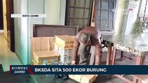 Bksda Sita 500 Ekor Burung