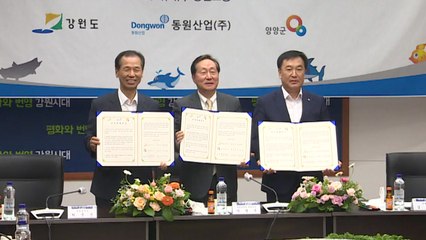 강원도 양양에 대규모 육상 '연어 양식 단지' 조성 / YTN