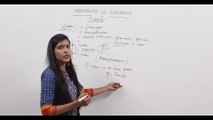 y2mate.com - chapter 5 biology 11 II morphology in flowering plants part 2