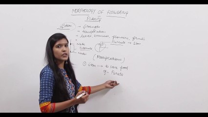y2mate.com - chapter 5 biology 11 II morphology in flowering plants part 2