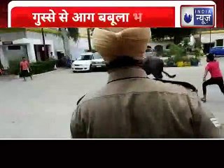 UP News:  गुस्से में आग बबूला हुई भेस ने किया दरोगा पर हमला, मुश्किल से बच्ची जान | India News
