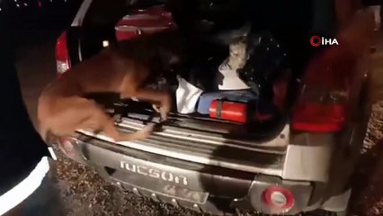 İzmir'de narkotik ekiplerinden zehir operasyonu: 4 gözaltı