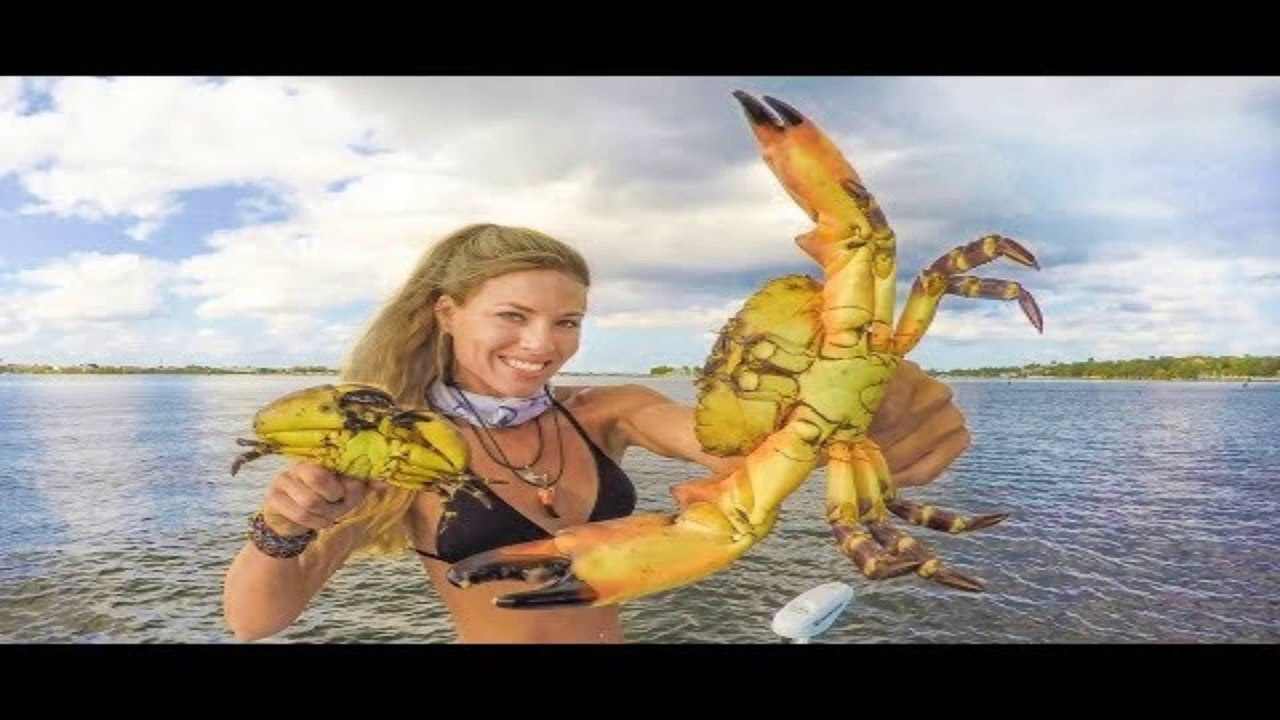 STONE CRAB CLAWS! How To ( Catch Clean Cook ) the Most Expensive Seafood Ever