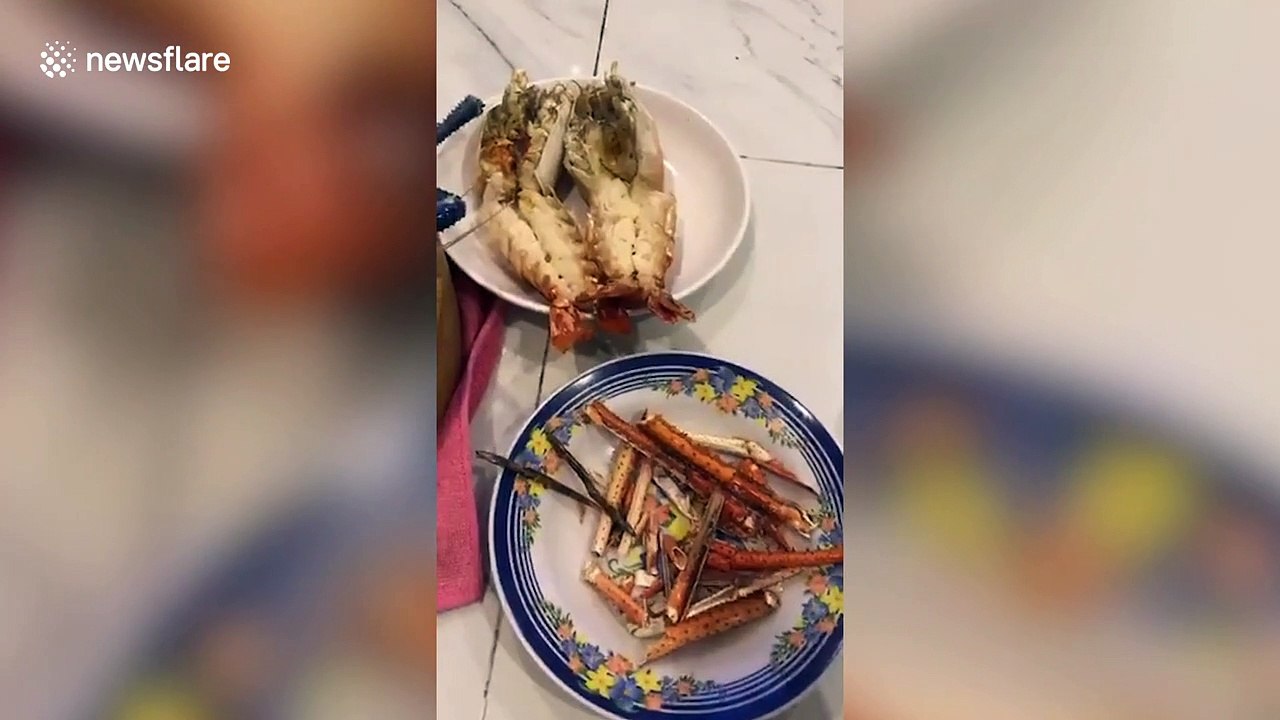 Shopper 'scammed' after buying king prawns with metals hidden inside to make them heavier