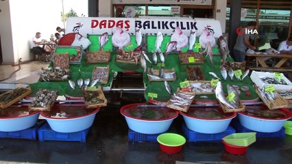 Balıkçılar 'Vira bismillah' diyerek sezona başladı