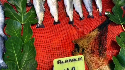 Yeni sezonun ilk balıkları tezgahlarda