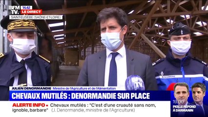 Julien Denormandie sur les chevaux mutilés: "Justice sera faite"