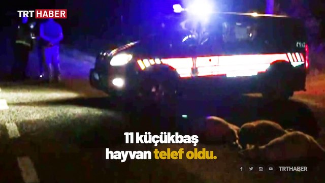 Kazada telef olan hayvanlarına sarılarak gözyaşı döktü