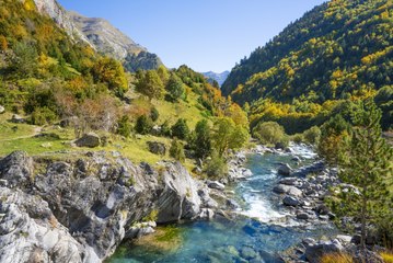 Los mejores bosques de España para disfrutar este otoño