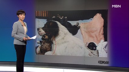 김주하의 8월 28일 '이 한 장의 사진'